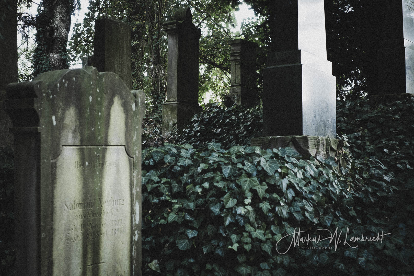 Steinheim (Westfalen), Jüdischer Friedhof